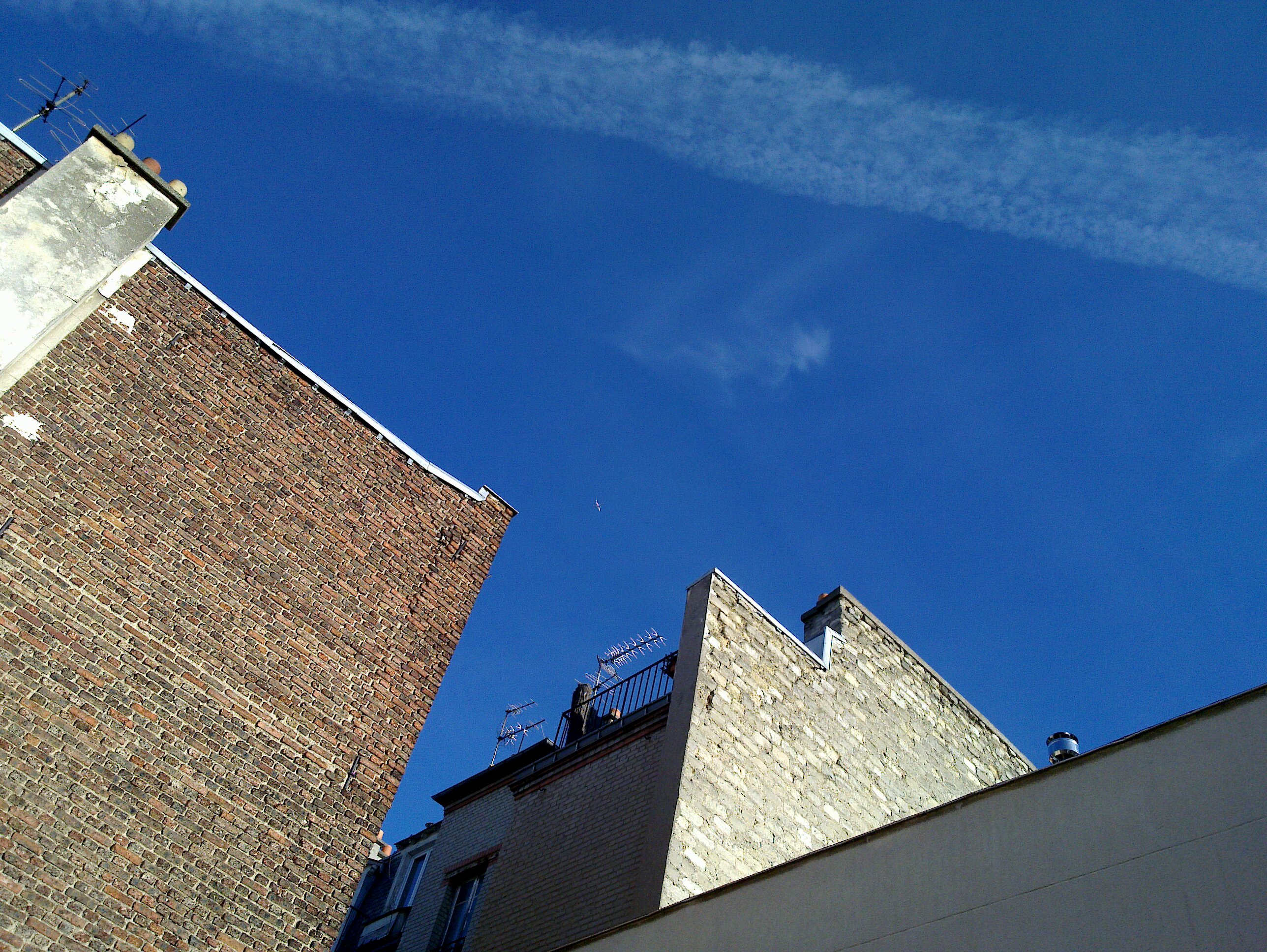 20091226_008