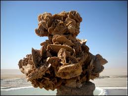 rose-des-sables